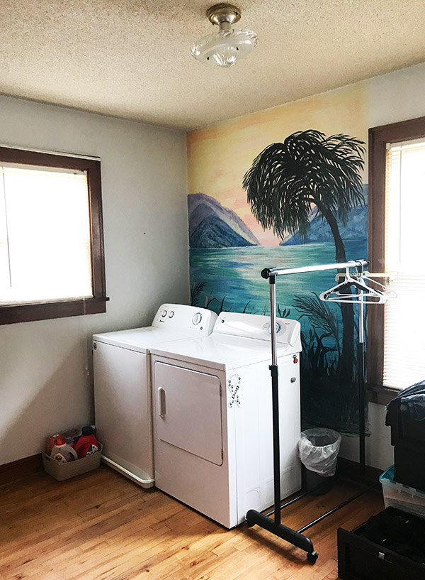 beach-scene-laundry-room-st-louis-park-mn